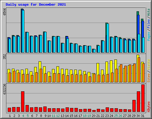 Daily usage for December 2021