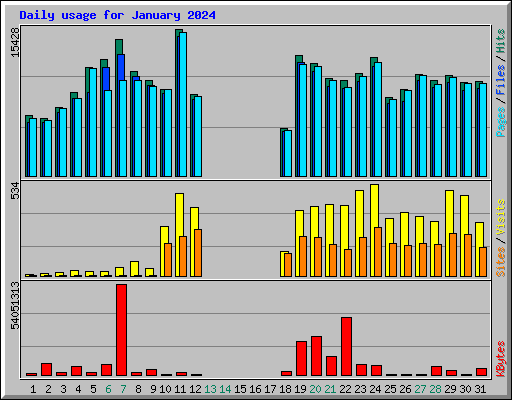 Daily usage for January 2024