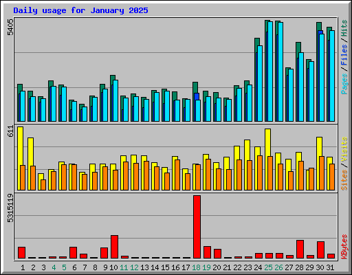 Daily usage for January 2025