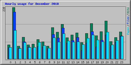 Hourly usage for December 2010