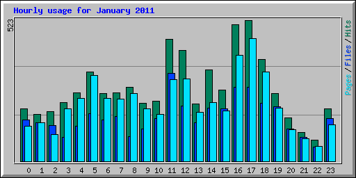 Hourly usage for January 2011
