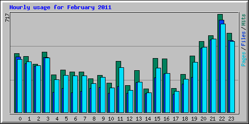 Hourly usage for February 2011