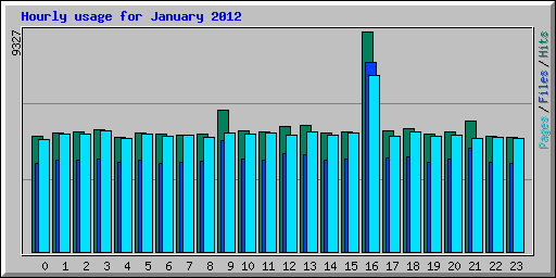 Hourly usage for January 2012