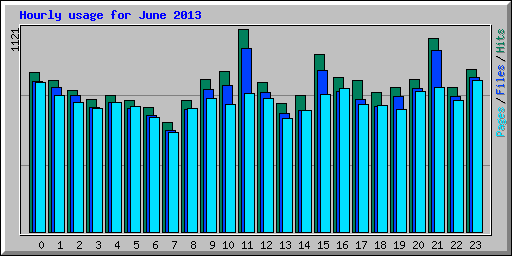 Hourly usage for June 2013
