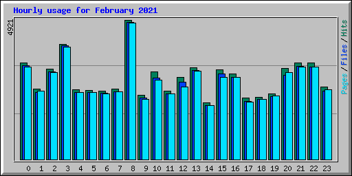 Hourly usage for February 2021