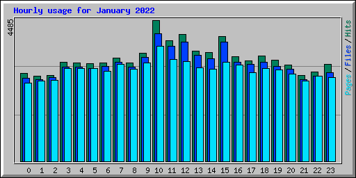 Hourly usage for January 2022