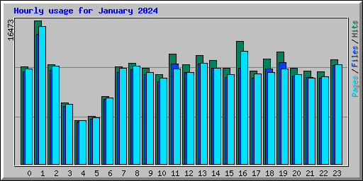 Hourly usage for January 2024