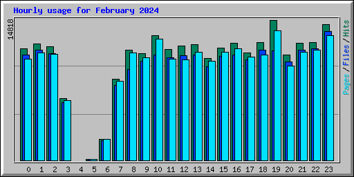 Hourly usage for February 2024