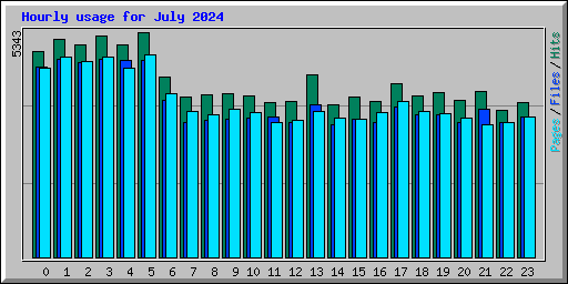 Hourly usage for July 2024