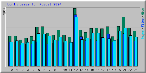 Hourly usage for August 2024