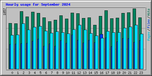 Hourly usage for September 2024