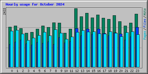 Hourly usage for October 2024
