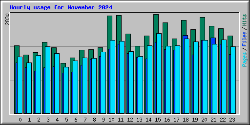 Hourly usage for November 2024