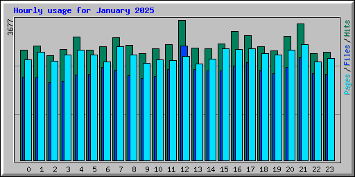 Hourly usage for January 2025