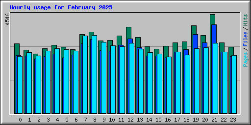 Hourly usage for February 2025