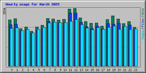 Hourly usage for March 2025