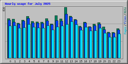 Hourly usage for July 2025