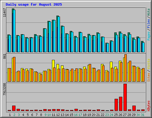 Daily usage for August 2025