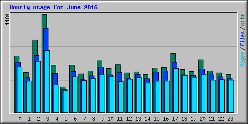 Hourly usage for June 2016
