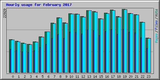 Hourly usage for February 2017