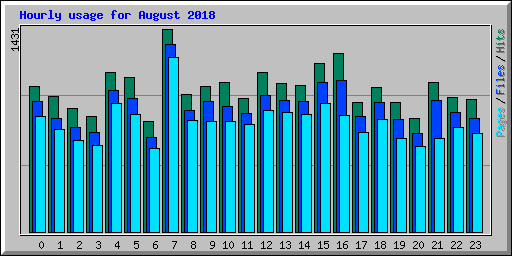 Hourly usage for August 2018