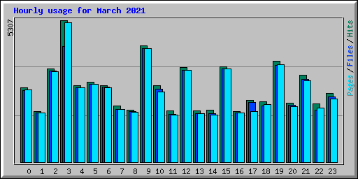 Hourly usage for March 2021
