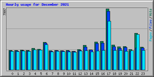 Hourly usage for December 2021