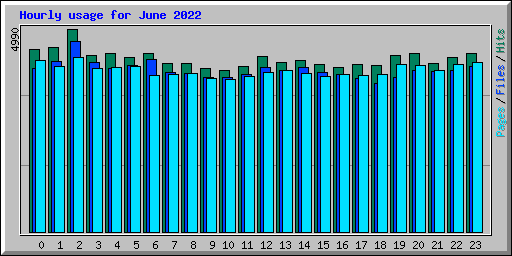 Hourly usage for June 2022