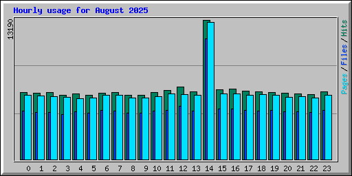 Hourly usage for August 2025