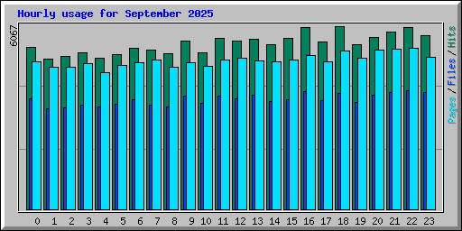 Hourly usage for September 2025