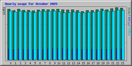 Hourly usage for October 2025