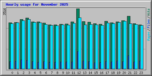 Hourly usage for November 2025
