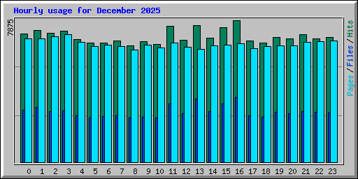 Hourly usage for December 2025