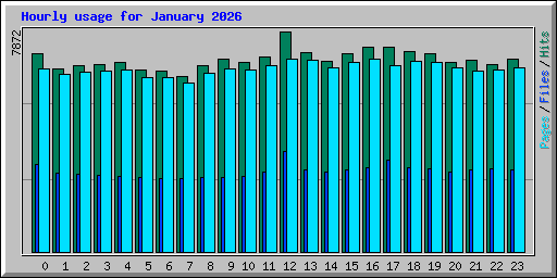 Hourly usage for January 2026