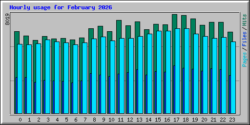 Hourly usage for February 2026