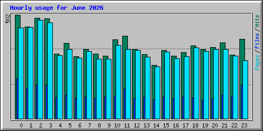 Hourly usage for June 2026