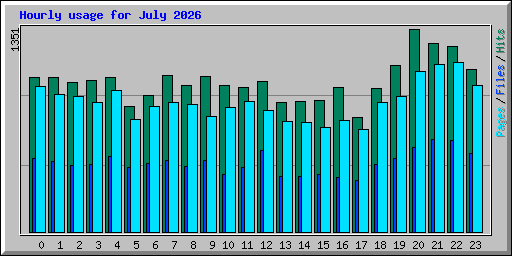 Hourly usage for July 2026