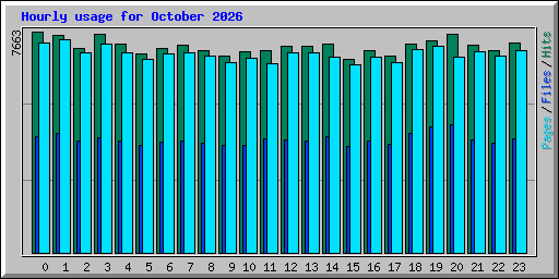 Hourly usage for October 2026